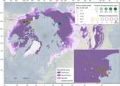 Research finds frozen ground in the Arctic is sinking at an increased rate