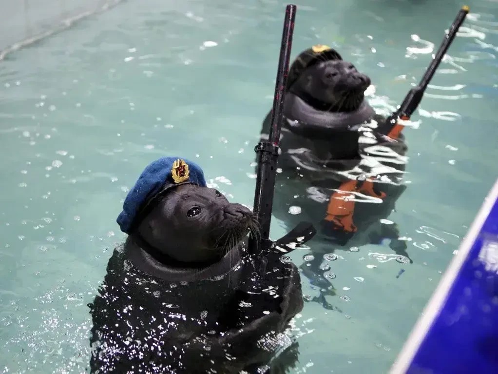 Oh fuck, Soviet SEALS!