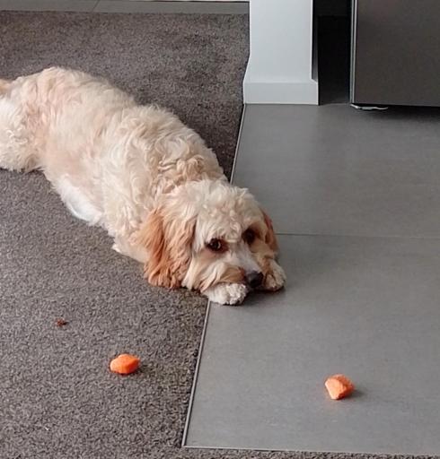 Sophie with salmon