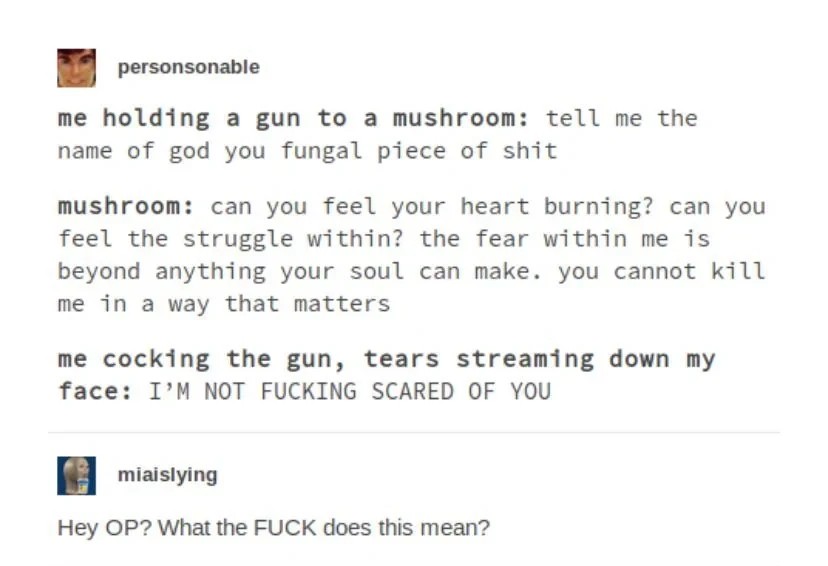 Tumblr post: "me holding a gun to a mushroom: tell me the name of god you fungal piece of shit  mushroom: can you feel your heart burning? can you feel the struggle within? the fear within me is beyond anything your soul can make. you cannot kill me in a way that matters. me cocking the gun, tears streaming down my face: I’M NOT FUCKING SCARED OF YOU" Reply: "Hey OP? What the FUCK does this mean?"