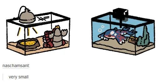 kyogre and groudon from pokemon but they're very small inside of tanks. caption: "very small"