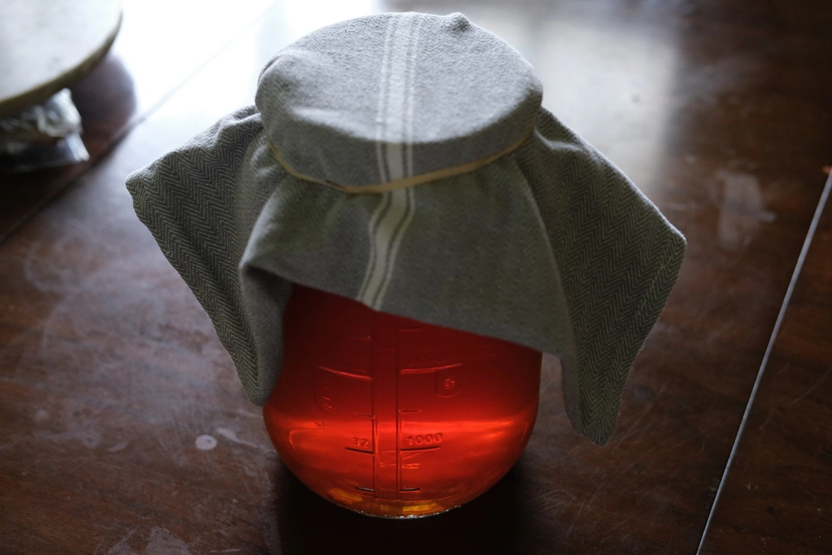 First time making Kombucha