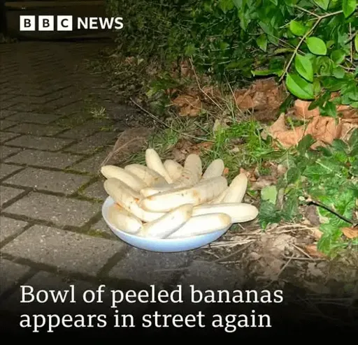 BBC image post showing a bowl of peeled bananas out on the pavement with the text: "Bowl of peeled bananas appears in the street again." 