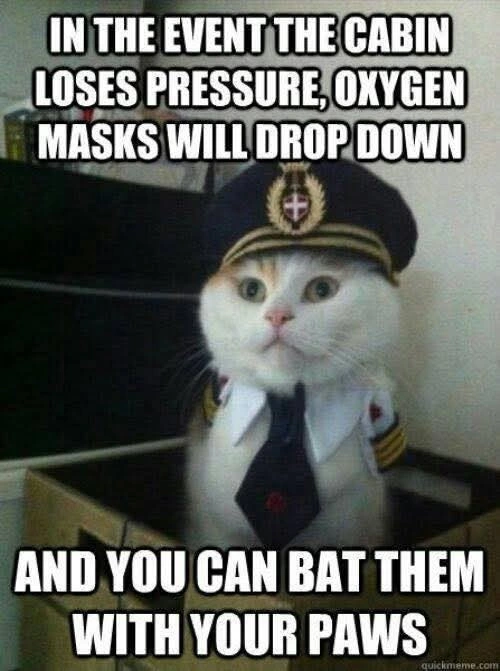 Safety first!