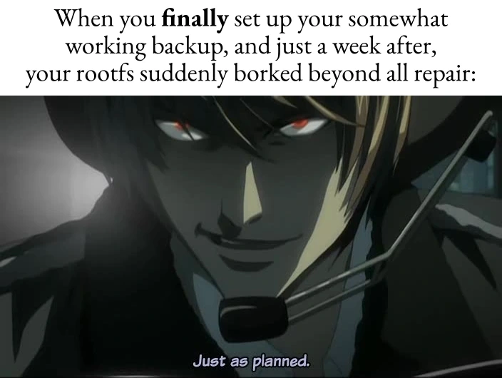When you finally set up your somewhat working backup, and just a week after, your rootfs suddenly borked beyond all repair: *Just as planned*