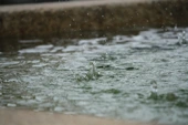 Rainfall patterns found to trigger extreme humid heat in tropics and subtropics