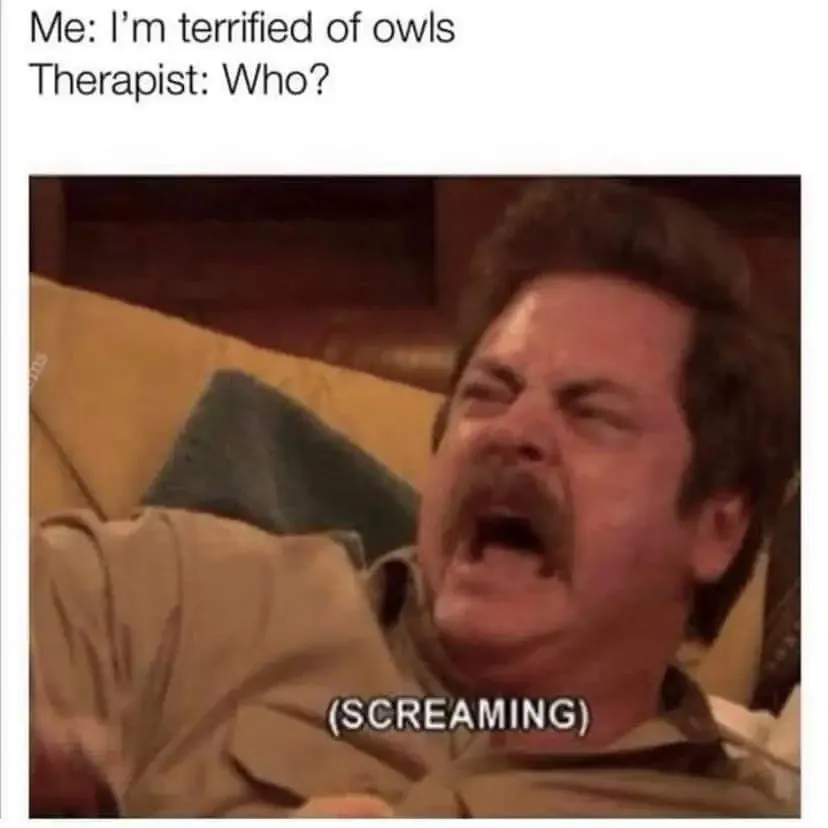 Hoot hoot