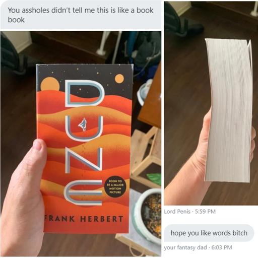 Picture of Dune by Frank Herbert.
Front view caption: You assholes didn’t tell me this is like a book book.
Side view caption: Hope you like words bitch