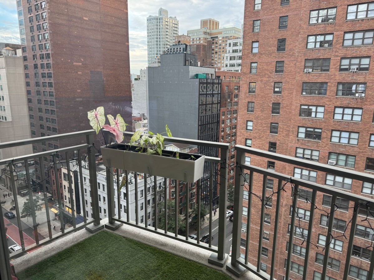 Balcony railing overlooking the city. There’s a white planter hanging from the railing with different plants with colorful leaves on them. 