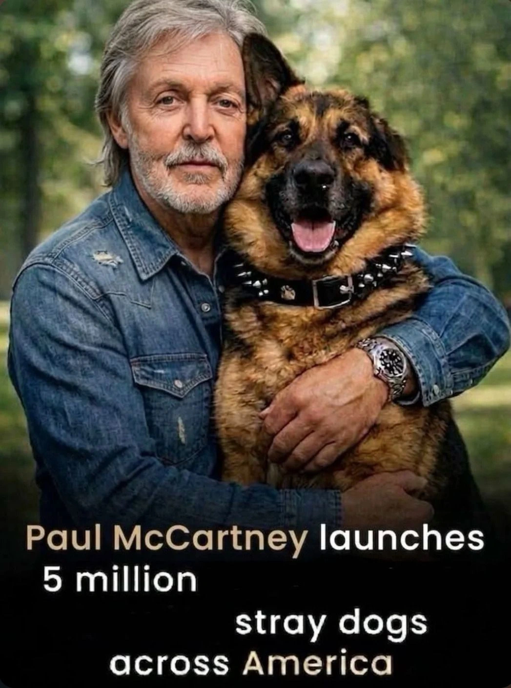 How has nobody stopped him yet?