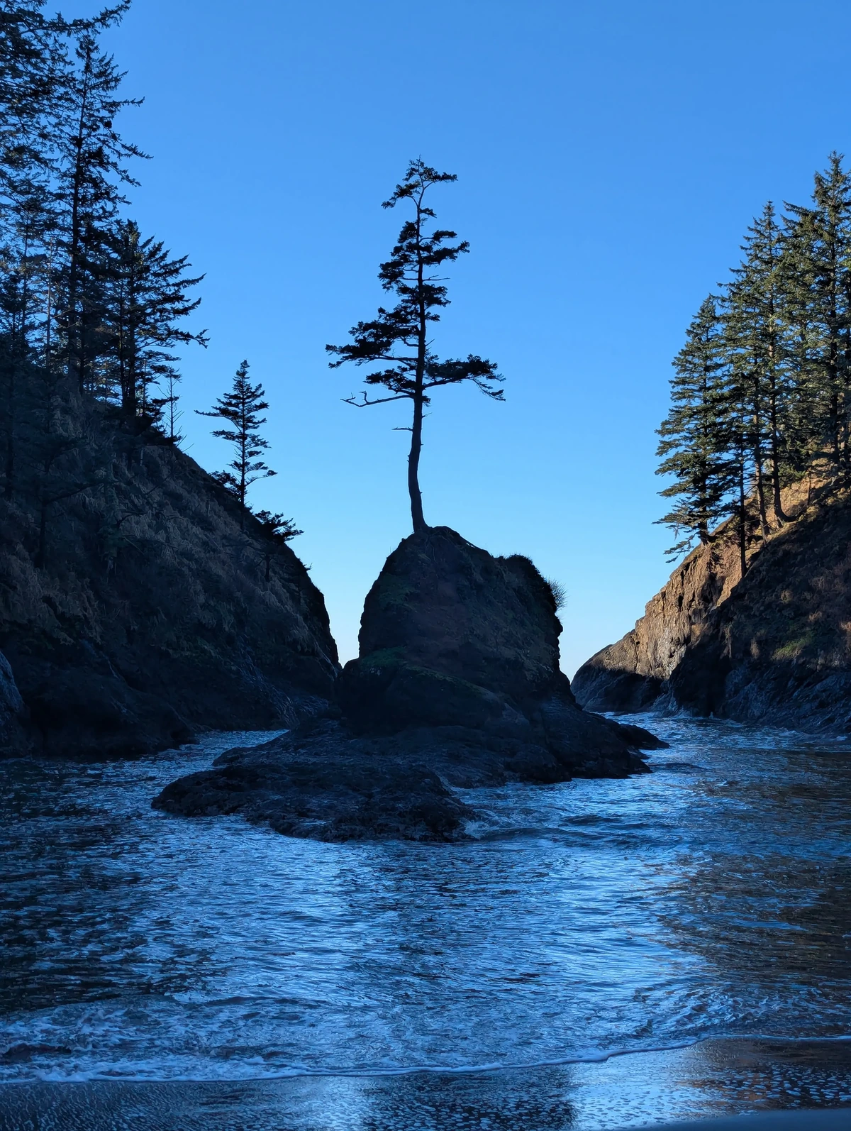 Cape Disappointment, WA