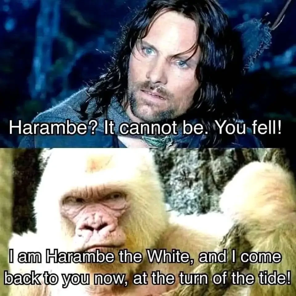 HARAMBE LIVES