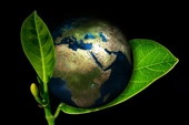 New global model shows how to bring environmental pressures back to 2015 levels by 2050
