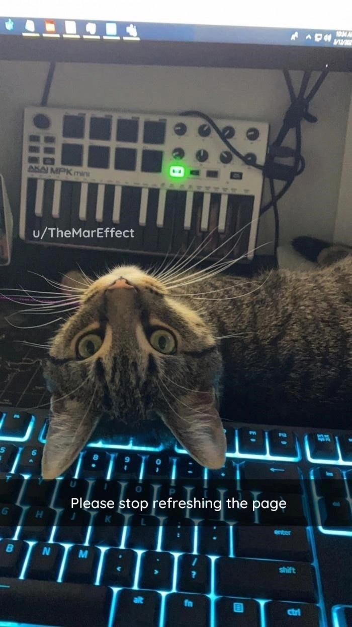 Please stop
