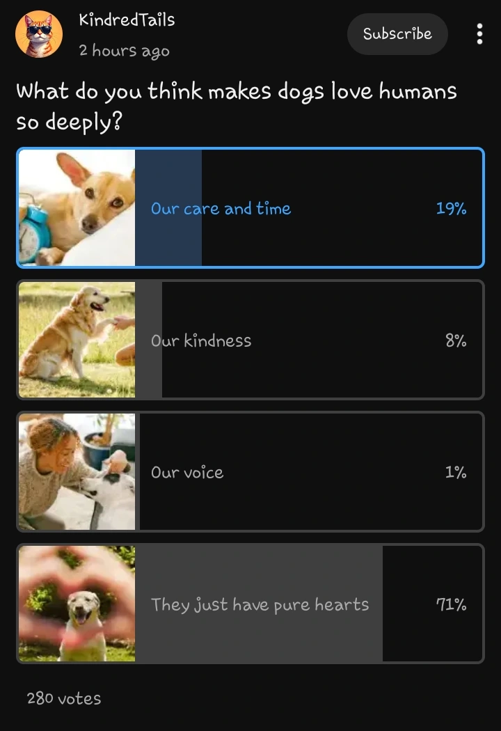 dog people are totally delusional
