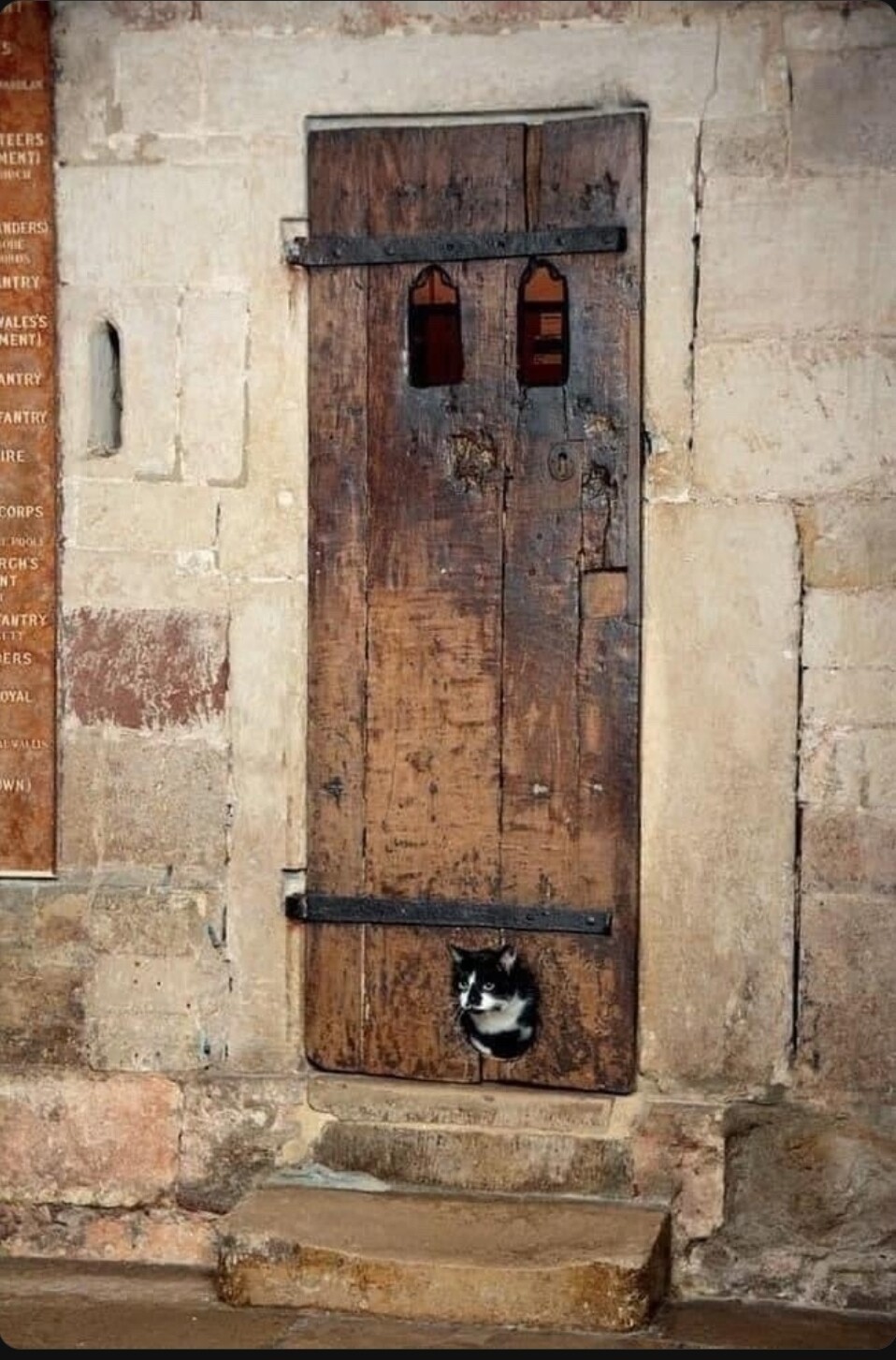 Door with Cat Door, North Door of Exeter Cathedral, 14th century AD, UK, feat. Stapledon the Cathedral Cat.