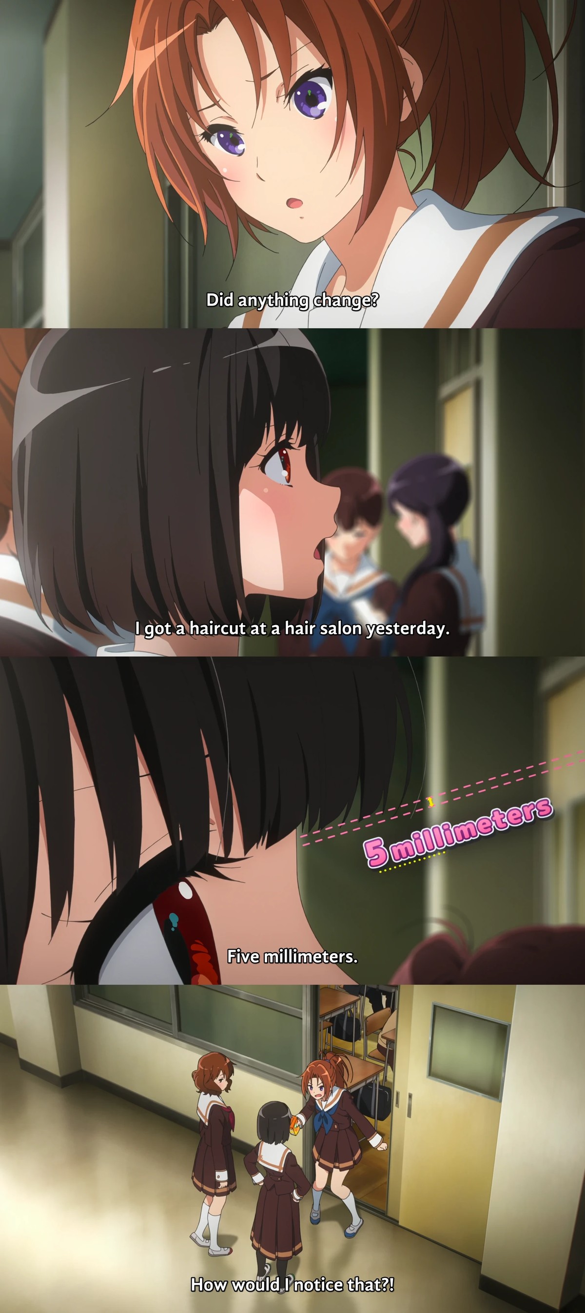 haircut = no haircut