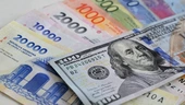 Peso slumps as US fails to dispel devaluation fear
