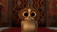 king Julian animated show mort looking at viewer pov gif