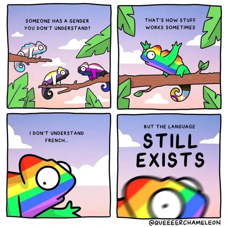 pride coloured chameleons, the rainbow one saying: "someone has a gender you don't understand? that's how stuff works sometimes. i dont understand french but the language still exists"