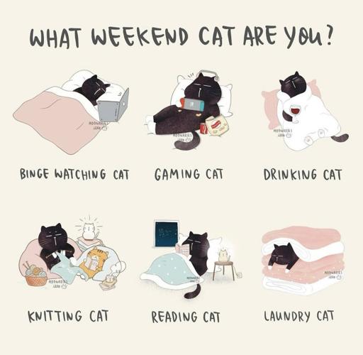 Which weekend cat are you?