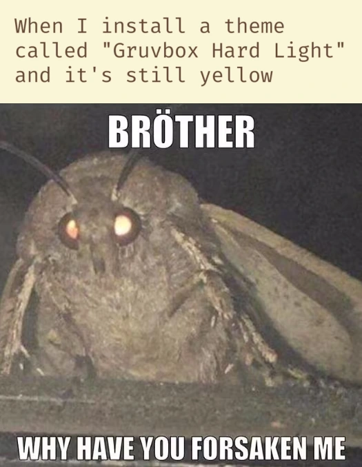 Meme with a text at the top the top, which reads on yellow background: "When I install a theme called 'Gruvbox Hard Light' and it's still yellow". Below the text is meme template with a moth on it, which reads "Bröther, why have you forsaken me?".