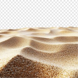 Des dunes de sable Des dunes de sable