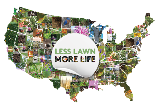 Map of the contiguous USA with colorful flowers instead of topography and the "Less Lawn More Life" logo prominently in the center