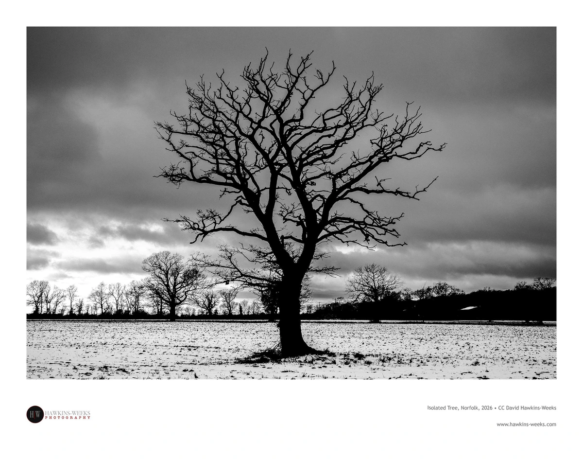 Black and white landscape photo of the silhouette of a bare tree set in a snow-covered field with a line of trees on the horizon and a dark, cloudy sky