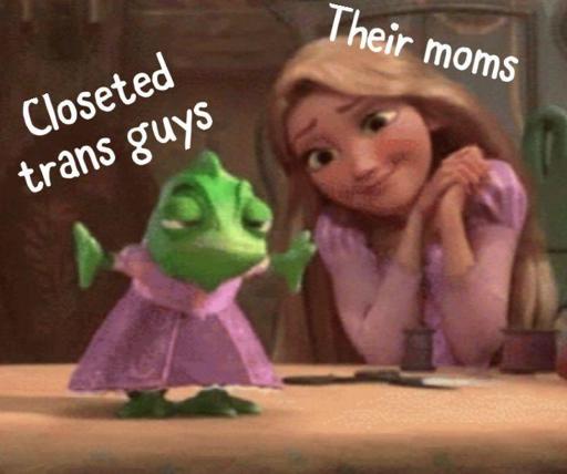 Cena do filme Enrolados na qual se vê Rapunzel com a legenda "mães" olhando para Pascal vestindo uma miniatura do vestido de Rapunzel com uma cara de tédio com a legenda "vestindo homens trans".