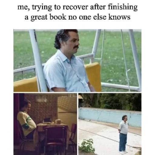 Three panel meme of Pablo Escobar from the Narcos TV-series looking sad and introspective.
Title: Me, trying to recover after finishing a great book no one else knows...