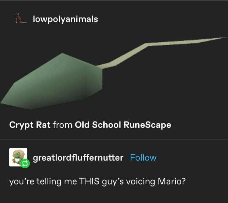 lowpolyanimals: crypt rat from Old School RuneScape / greatlordfluffernutter: "you're telling me THIS guy's voicing Mario?"