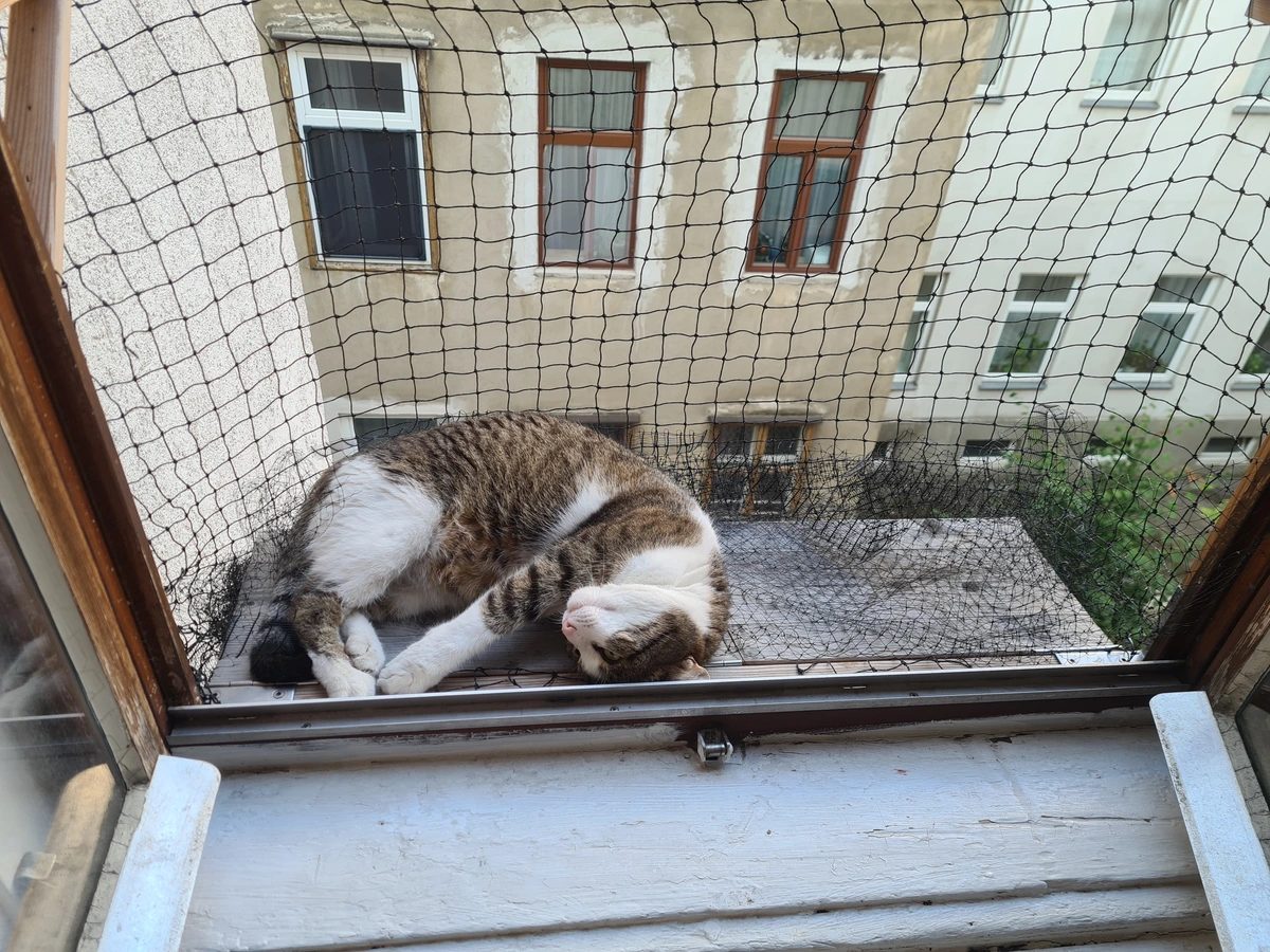 Juli enjoying her private balcony