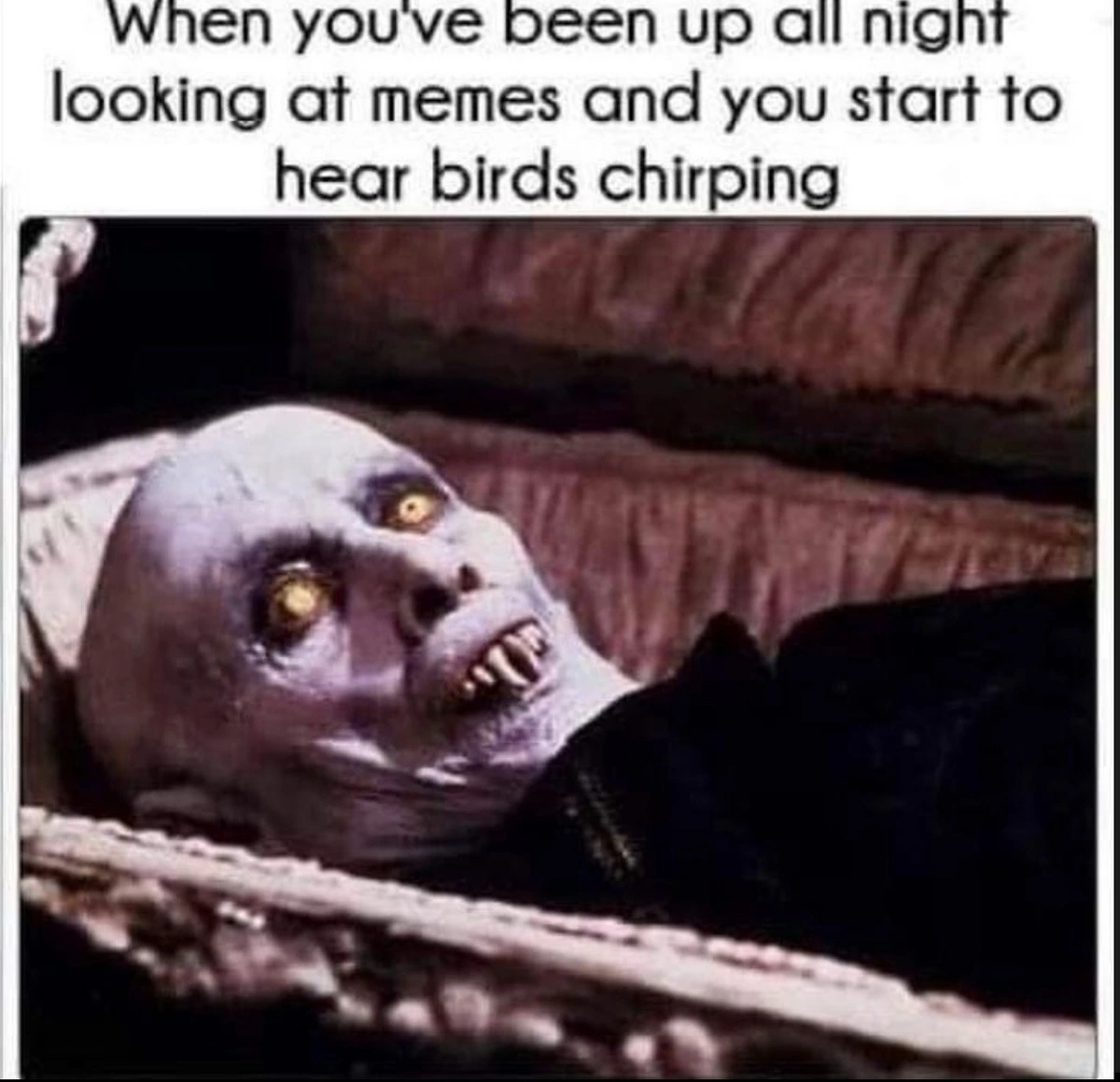 "Look at them, the memes of the night..."