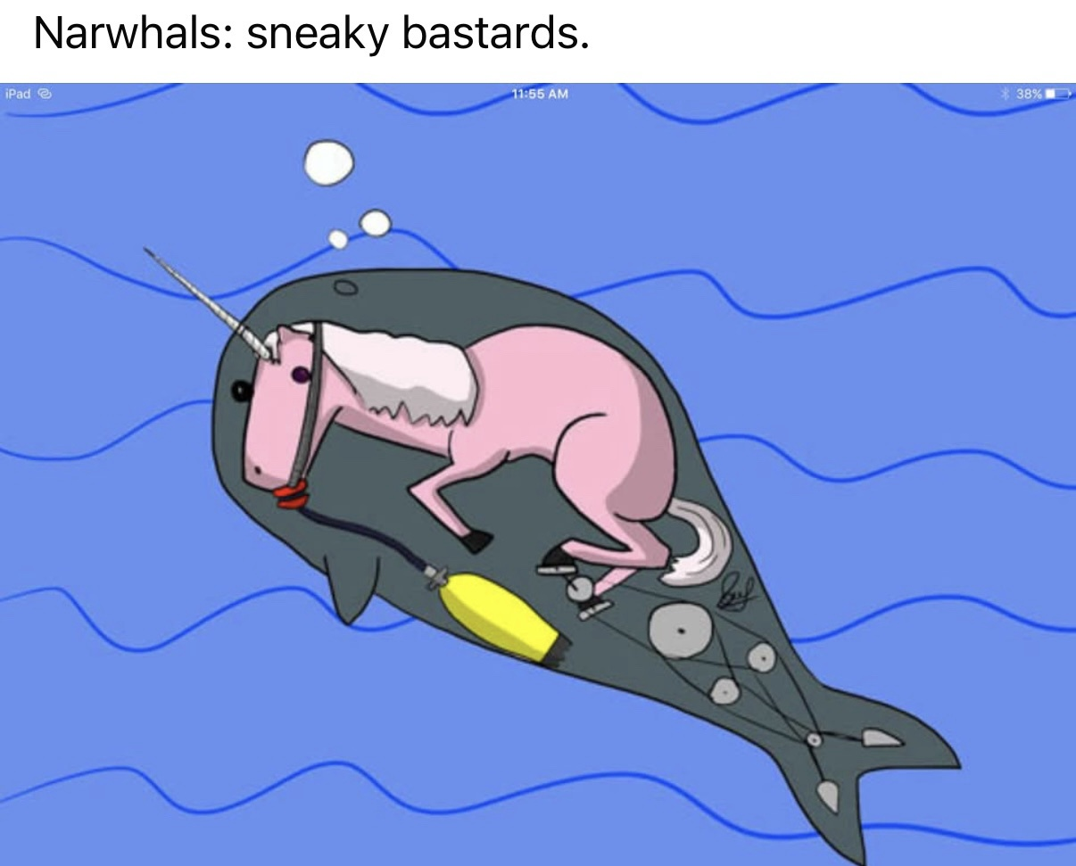 a unicorn using a narwhal as trojan horse