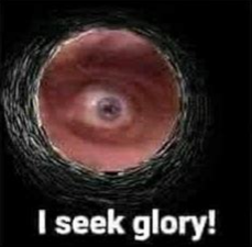 Gowron seeks glory