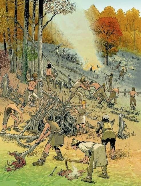 Neolithic forest clearing