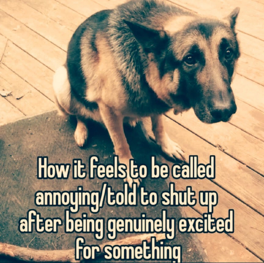 How it feels to be told to shut up after being exited about something. Picture of a sad dog