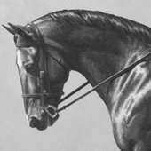 The Others (feat. Athena Renee), by STANZA