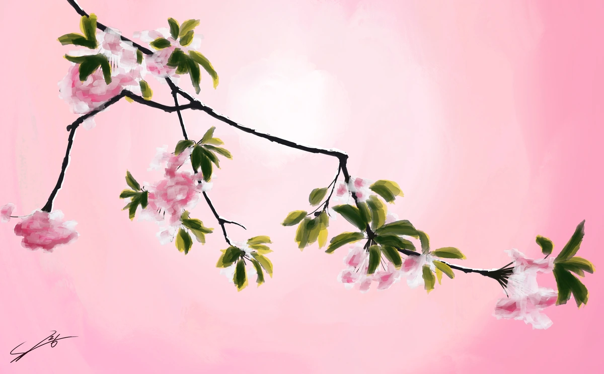 Spring