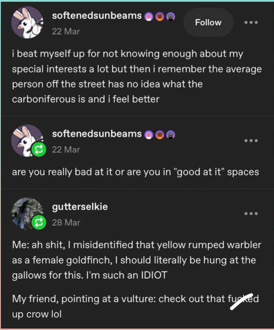 No rules for enjoying your interests.