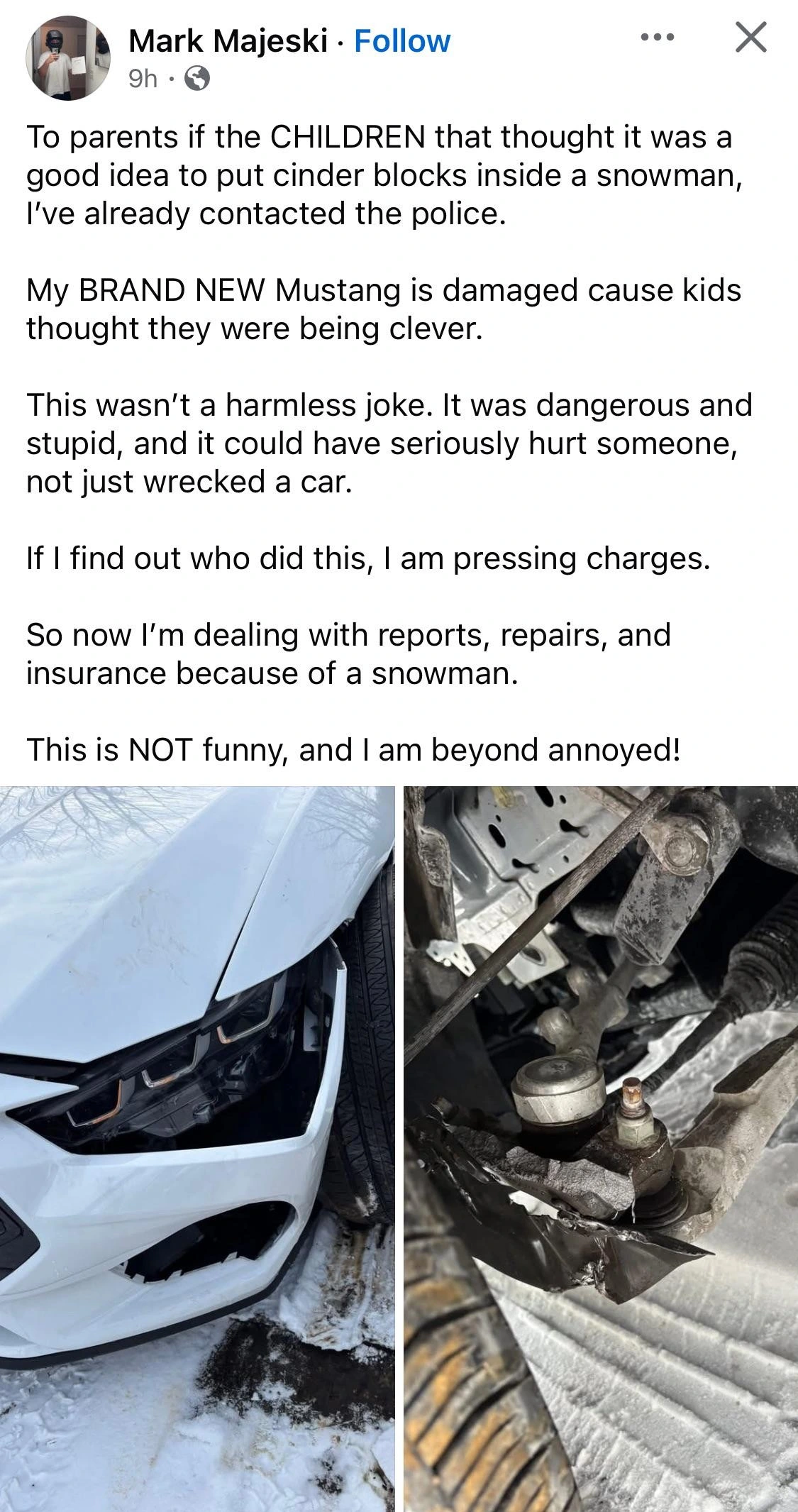 Consequences for hit-and-run on a snowman