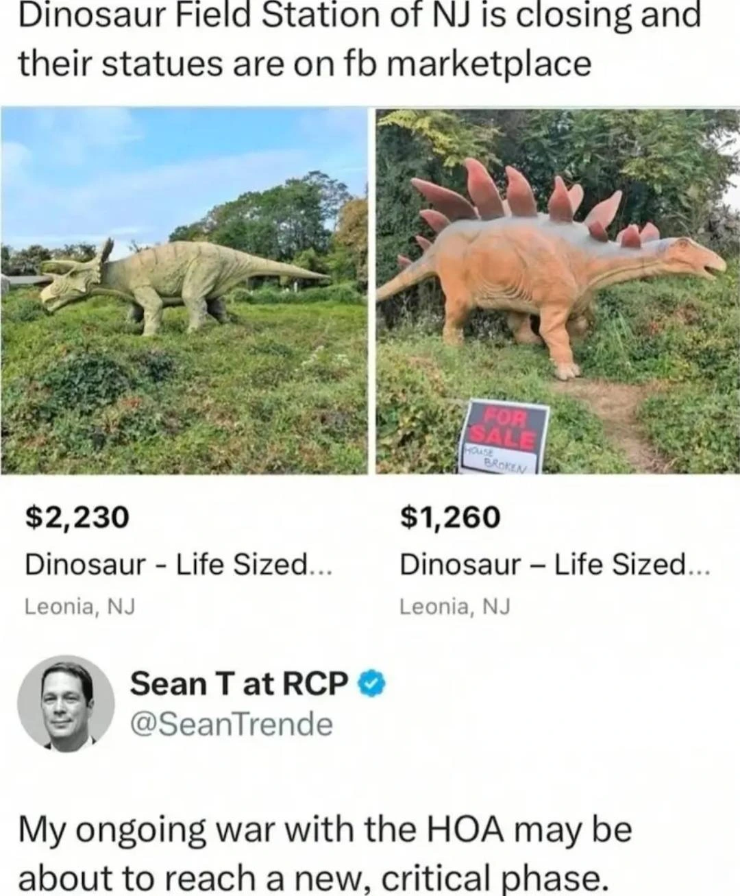 Dinosaur Field Station of NJ is closing and their statues are on fb marketplace. [Images of 'Life Sized' Dinosaurs on FB Marketplace]. Sean T at RCP (@SeanTrende) My ongoing war with the HOA may be about to reach a new, critical phase.