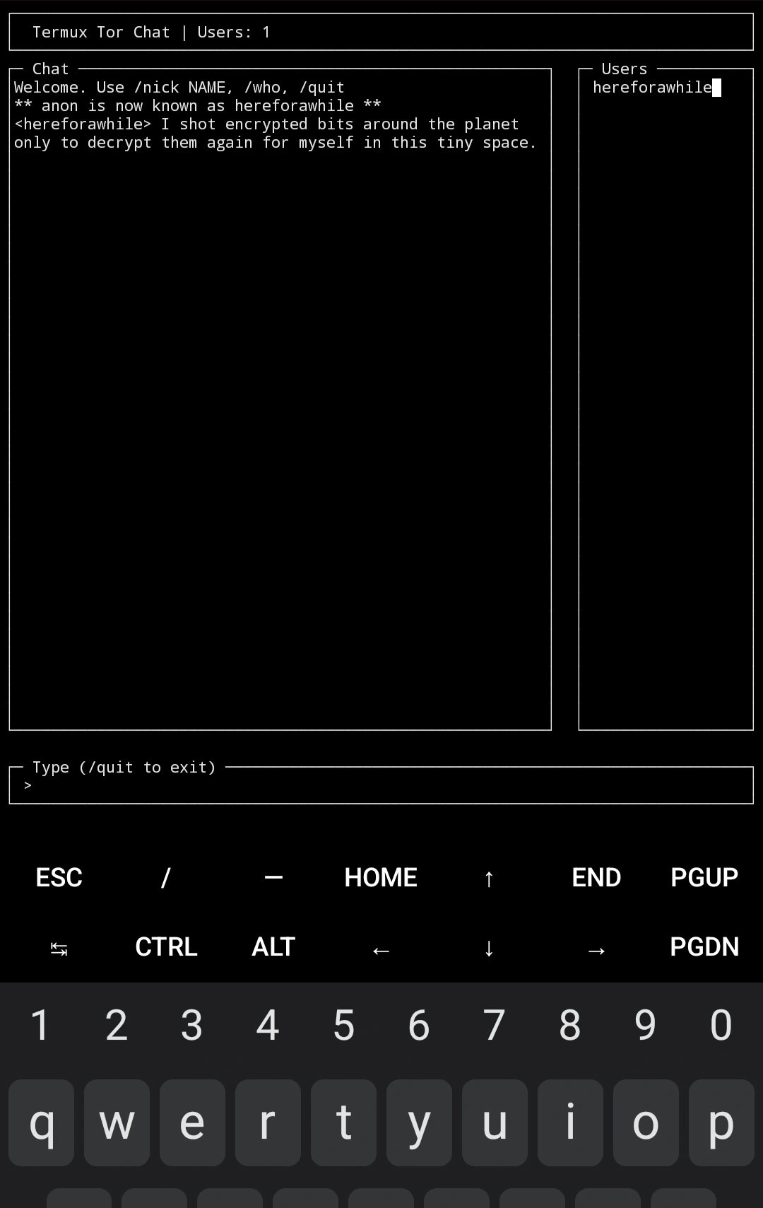 Using Termux to create a tiny selfhosted hidden chat server with E2EE.