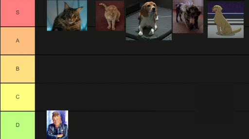 Ranking pets allowed on the bridge of a starship