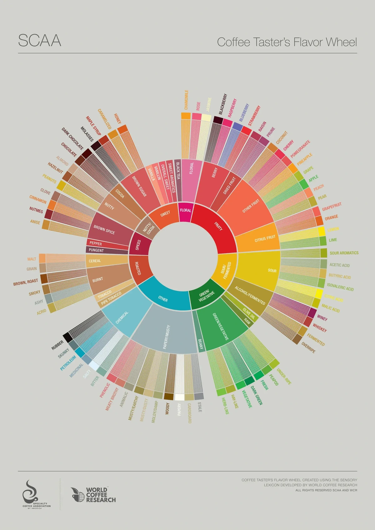 sca flavor wheel
