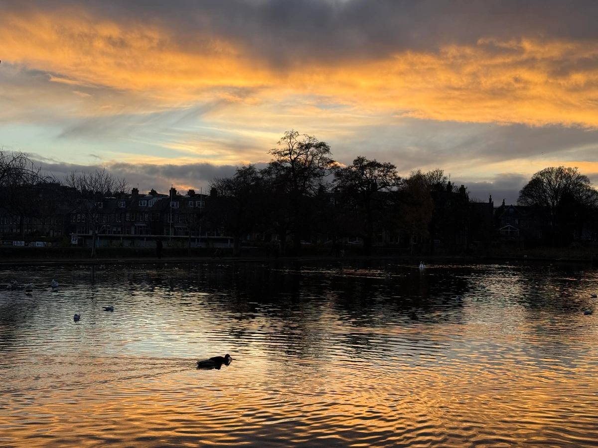 A serene lake at sunset, reflecting vibrant orange and blue hues in the water. A duck swims in the foreground, while trees and buildings are silhouetted against the colorful sky.
