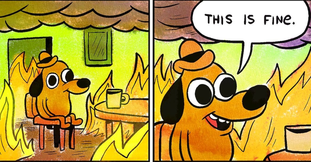 "this is fine"