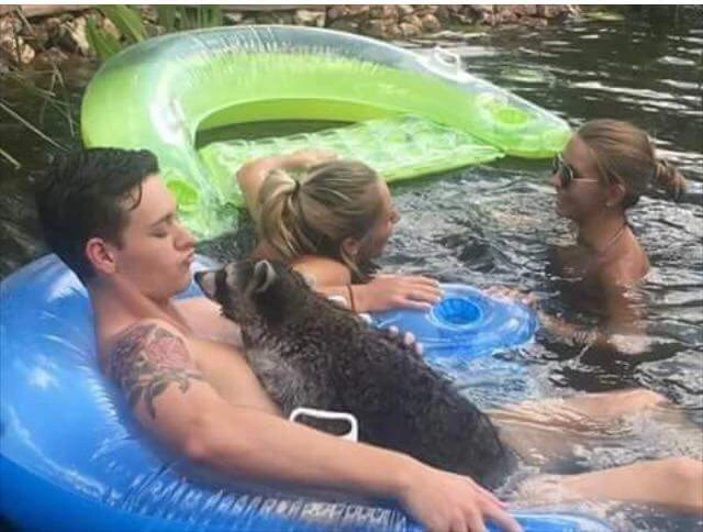 That summer mood