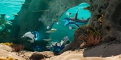 Subnautica's Original Creators Have Been Removed From Unknown Worlds "Effective Immediately", As Krafton Makes Concerning Leadership Changes